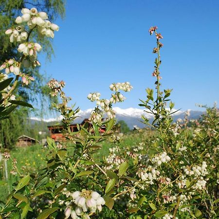 Agriturismo Il Frutto Permesso Bibiana Bagian luar foto