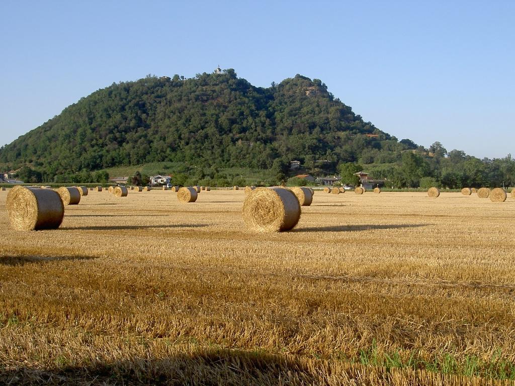 Agriturismo Il Frutto Permesso Bibiana Bagian luar foto