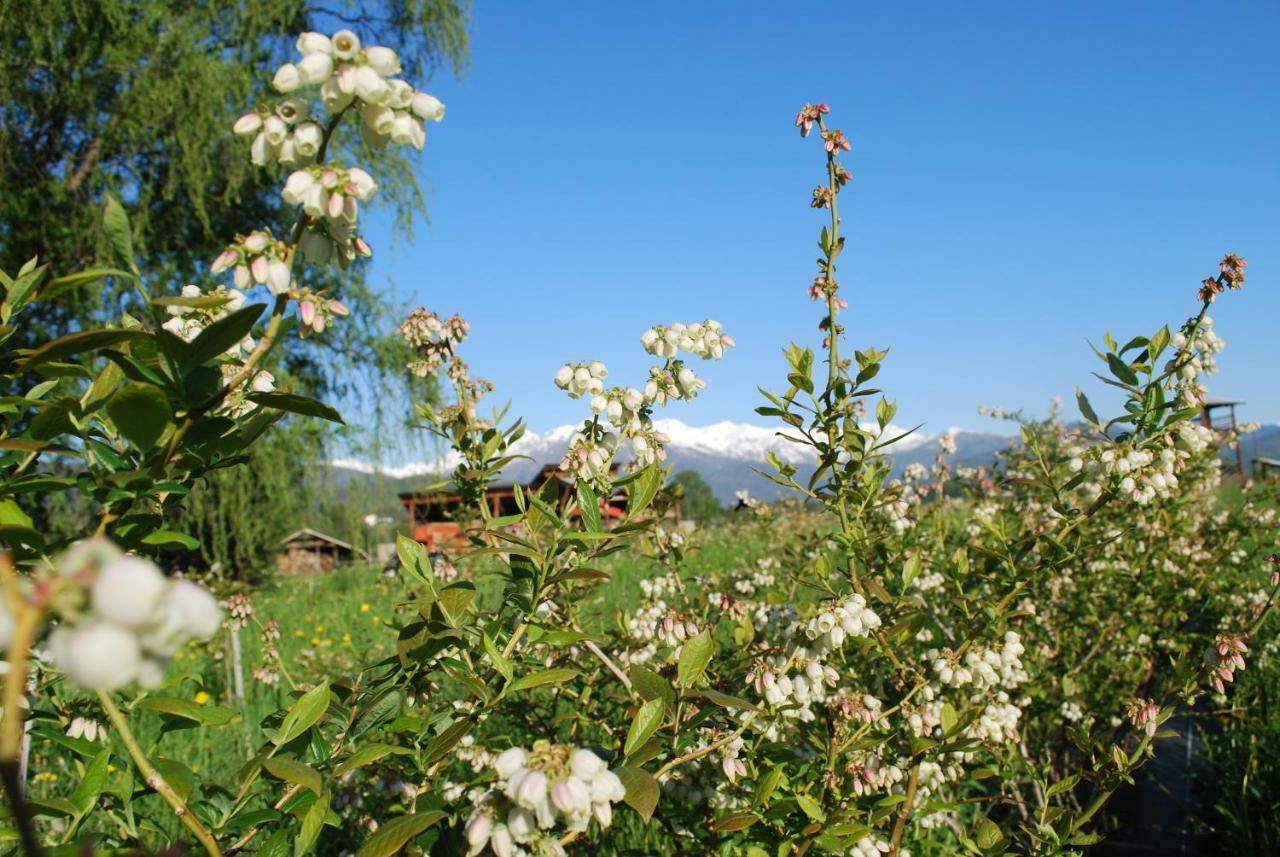 Agriturismo Il Frutto Permesso Bibiana Bagian luar foto